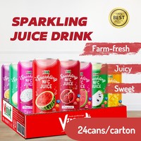Boisson au jus de mangue pétillante 330ml, sans OGM, sans sucre ajouté, OEM ODM Marque privée, Fabricant de boissons en gros