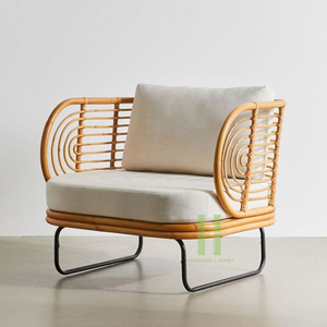 Modern <b>Rattan</b> Leisure <b>Chair</b> with Iron Base and Soft Cushion-<b>Dining</b> & Living Room Furniture From HNH Craft - Product Image 1