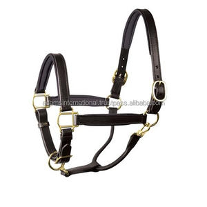 Licol de cheval en cuir de haute qualité rembourré doux et durable - Product Image 3