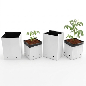 Eco-Friendly <b>Plastic</b> Grow Bags-Overseas Brand Biodegradable Durable Breathable 1000mL for Hydroponics Greenhouse Vegetable - Product Image 1