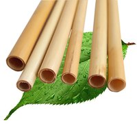 Pailles jetables en bambou biodégradables entièrement naturelles, vaisselle écologique pour les fêtes, vente en gros