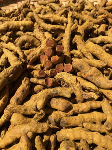 Raíz de Cúrcuma Congelada de Primera Calidad para Jabón Natural, Aceite Esencial, Extracto Herbal y Procesamiento de Productos Saludables Crudos - Product Image 5