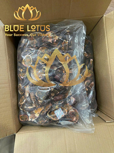 BEST SELLING Organic Blue Lotus Farm Freeze-Dried Sweet Passion Fruit Slices Chewy Tropical Fruit Snack Baking Confectionery - Product Image 3