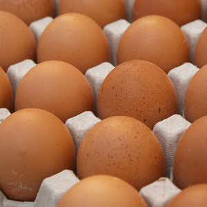 ผู้จัดจำหน่ายไข่ไก่สดจากฟาร์มราคาส่ง ไข่ไก่สดสีน้ำตาลและสีขาว/ไข่ไก่สดราคาถูก - Product Image 1