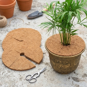 Manta de Fibra de Coco para Control de Malezas, 6 Pulgadas, 10 Piezas, Ahorro de Espacio, Uso en Hogar y Jardín, Aspecto Natural, Calidad Bio Orgánica - Product Image 2