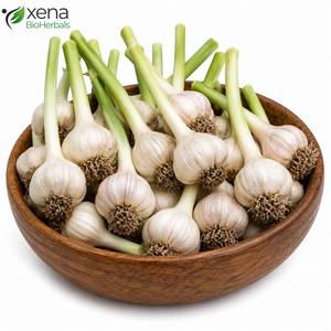 Ail séché Allium Sativum de qualité industrielle, ingrédient botanique naturel pour produits à base de plantes - Product Image 3