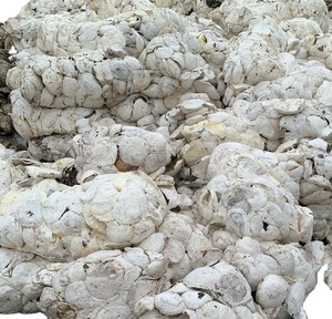 Copa de Vietnam 65-70% Goma de látex DRC de alta pureza Producto de precios globales competitivos - Product Image 5