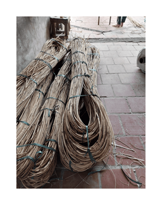 Exportador de Vietnam de calidad superior Palos de ratán pulido Manau Postes de caña de ratán crudo natural con precio competitivo - Product Image 1
