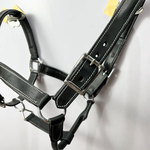 Traditional Leather Horse <b>Halter</b> with Red Blue White Pattern and Gold Hardware Adjustable Design - Product Image 5