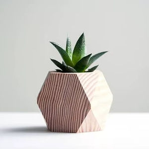 Jardinière rectangulaire en bois de pin naturel avec trous de drainage pour la décoration intérieure et extérieure de la maison et du jardin, étiquetage privé - Product Image 1