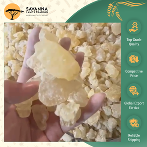 Oferta Especial en Recubrimientos de Goma Damar Natural Seca de Color Amarillo Pardo de Buena Calidad, Barnices y Aplicaciones Industriales - Product Image 6