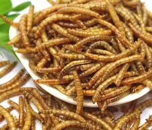Larves de Mouches Soldat Noires Séchées Naturelles, Friandise pour Animaux, Aliment Entier pour Insectes, Riche en Protéines, Sans Céréales pour Oiseaux - Product Image 6
