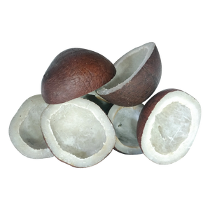 เนื้อมะพร้าวอบแห้งคุณภาพพรีเมียมสำหรับการสกัดน้ำมันมะพร้าว - Product Image 3