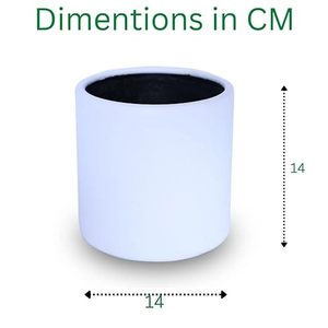 Decorative Stainless Steel <b>Table</b> Planter with Smooth White Finish and Inner Black Protective Coating Rust-Resistant <b>Plant</b> Pot - Product Image 2