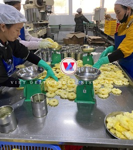 สับปะรดกระป๋องหั่นชิ้น รสหวาน 80% แบรนด์ VIET DELTA กรดซิตริก อายุการเก็บรักษา 24 เดือน เวียดนาม / คุณแอนนา - Product Image 6
