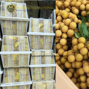 Longanes entières surgelées KMI IQF, emballage sous vide en vrac du Vietnam, durée de conservation de 24 mois, 1 kg - Product Image 5