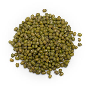 Frijoles mung verdes de primera calidad, suministro a granel para empresas alimentarias internacionales, productores de cereales e importadores de legumbres - Product Image 1
