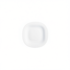 Plato de Cerámica de 26 cm, PLATO LLANO, Categoría de Productos: Platos y Vajillas - Product Image 1