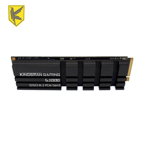 Kingsman Gaming S1000 SSD M.2 PCIe Gen5 4TB ฮาร์ดดิสก์แบบโซลิดสเตทภายในสำหรับคอมพิวเตอร์ตั้งโต๊ะ - Product Image 1