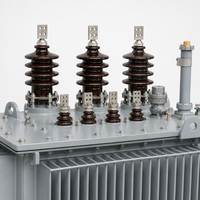Transformateur de puissance triphasé immergé dans l'huile à enroulement en cuivre 630 kVA 11 kV, type extérieur, 50/60 Hz