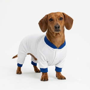 OEM <b>Pet</b> Pullover Plain Hoodie with <b>Brushed</b> Fleece for Winter Wear Premium Soft Stylish Cute Trendy New Cozy Durable - Product Image 3