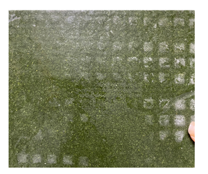 Hoja de yuca natural congelada de Vietnam, hoja de yuca congelada al por mayor, envasado a granel para ingredientes de cocina africana - Product Image 1