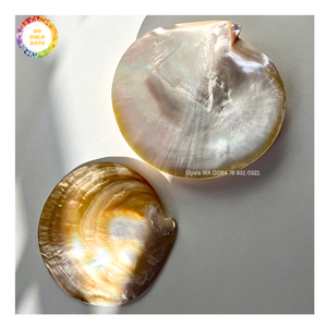 Colgante de Concha Negra de Nácar, Disco de Concha Natural Pulida, Abalorio para Pendientes, Collares y Joyería DIY, Suministro al por Mayor - Product Image 2