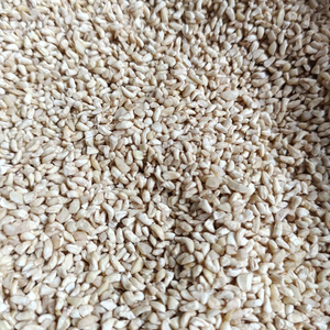 Trusted Supplier SANTIGO <b>Nuts</b> <b>Kernels</b> Broken Kaju Kaju Cashew <b>Nuts</b> Low MOQ Custom Packing - Product Image 1