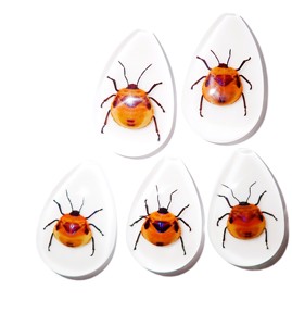 Cabujón de Plástico con Espécimen Real de Insecto Floral, Corte Pera, Parte Superior de 46x30 mm, Base Plana Blanca para Manualidades y Joyería - Product Image 1