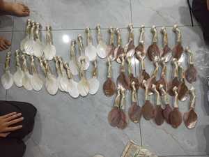 Cuchara de Nácar al por Mayor, Hecha a Mano, de Concha Natural, Organizador Decorativo para Compras al por Mayor, Empresa de Comercio Internacional - Product Image 4