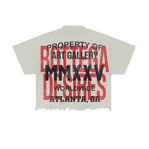 Camiseta de Lujo para Hombre, Ropa Urbana de Alta Calidad, Impresión DTG, Camisetas Gráficas Streetwear, Camiseta Vintage Blanca Extra Grande para Hombre - Product Image 4