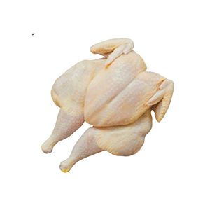 Pollo Halal Congelado Entero de Calidad Premium para Exportación, Preparado con Cuidado Islámico y Control de Seguridad Alimentaria - Product Image 1