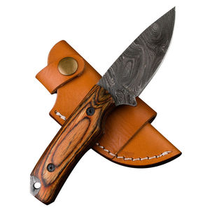 Cuchillo Táctico de Caza y Camping de Acero Inoxidable OEM, Hoja Fija para Exteriores, Borde Dentado, Punta Clip, Personalizable - Product Image 1