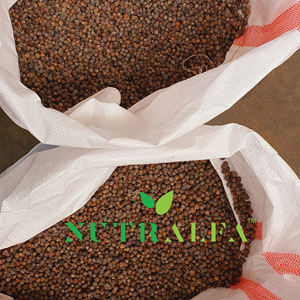 Bayas de Enebros Ingrediente aromatizante de la mejor calidad Bayas de enebro - Product Image 4