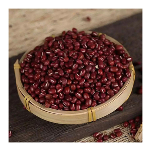 Haricots rouges de haute qualité pour la santé, en vente, meilleure qualité, forme allongée, haricot rouge foncé - Product Image 6