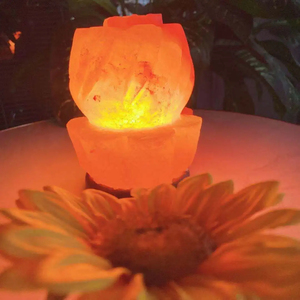 Lampes en sel rose de l'Himalaya naturelles faites sur mesure, sculptées à la main, sel de roche raffiné, qualité alimentaire, vente directe du fabricant - Product Image 6