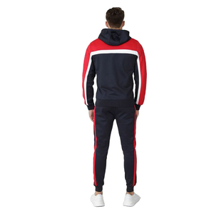 Ensemble de survêtement à capuche pour homme, coupe régulière, manches longues, pantalon de jogging intégral, 100 % coton molletonné, couleur unie, idéal pour l'automne - Product Image 2