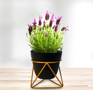 Metal Planter Pot Living Room Metal Flower Planter Pot Farmhouse Decor Tabletop Iron Rustic Flower Pot - Product Image 1