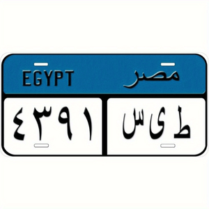 CIFbuy Unique Egyptian Themed Metal <b>Decorative</b> License <b>Plate</b> TikTok Pick up Service - Product Image 1