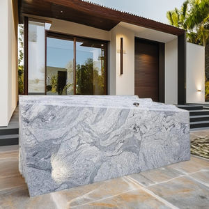 Losas de granito Viscon White Gangsaw de 2cm de espesor de la India - Product Image 1