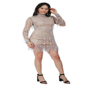 Minivestido de lentejuelas plateadas de lujo con cuello alto y manga larga |   Vestido de Fiesta con Flecos para Mujer, Diseño de Diseñador, Ropa de Cóctel |   India 2026 Premium Fit - Product Image 2