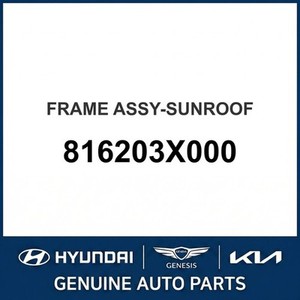 Elantra Nuevo, Otras Piezas y Accesorios para Autos y Camionetas 816203X000 - Product Image 1