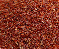 Riz Rouge Dragon Bio Premium, Riz, Rise |   Exportateur vietnamien |   Norme de qualité européenne |   Emballage 1 kg, 5 kg, 10 kg (Joice)