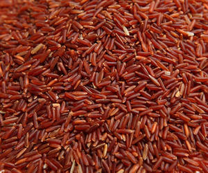 Premium Organic Red <b>Dragon</b> Rice, Riz, <b>Rise</b> | Vietnamese Exporter | EU quality standard | Packing 1kg, 5kg, 10kg (Joice) - Product Image 4