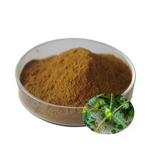 Polvo de Tribulus Terrestris 100% Natural de Grado Alimenticio, Polvo Fino de Tribulus Terrestris que Favorece una Nutrición y Bienestar Equilibrados - Product Image 6
