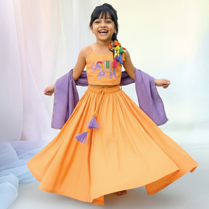 Conjunto de Lehenga Choli para Niñas de Excelente Calidad para Bodas Indias, Vestido Étnico Disponible a un Precio Razonable - Product Image 5