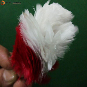 Plumas Decorativas de Primera Calidad, Color y Logotipo Personalizados, Accesorio Ligero para Disfraces y Sombreros - Product Image 4