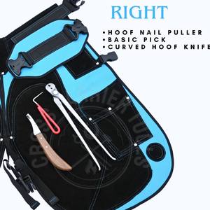 Kit d'outils professionnels pour ferrage de chevaux, avec tablier de sécurité en cuir, râpe, lime, cisaille à sabots, couteau à sabots, outil de ramassage et extracteur de clous - Product Image 5