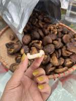 Natuurlijk knapperige, gevriesdroogde shiitake paddenstoelen, vacuüm gefrituurde snack, tropisch fruit, Vietnam fabriek, groothandel, bulk levering