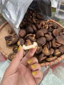 Champignons Shiitake Naturels Croustillants Lyophilisés, Snack Frit Sous Vide aux Fruits Tropicaux, Vente en Gros Directe Usine Vietnam - Product Image 2